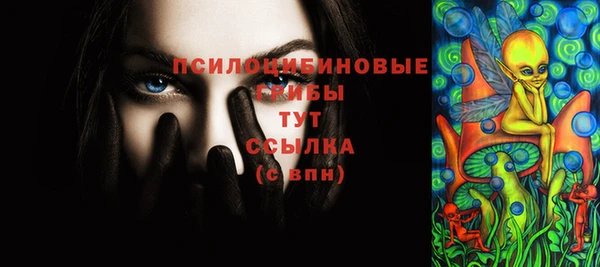 ПСИЛОЦИБИНОВЫЕ ГРИБЫ Лагань