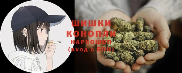 ПСИЛОЦИБИНОВЫЕ ГРИБЫ Лагань