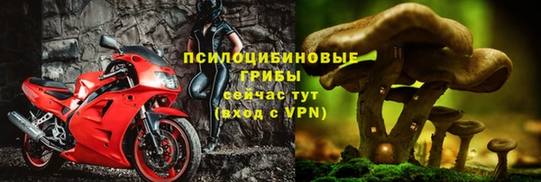 ПСИЛОЦИБИНОВЫЕ ГРИБЫ Лагань