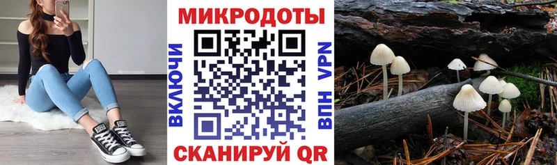 МЕГА как войти  Владикавказ  Галлюциногенные грибы прущие грибы 